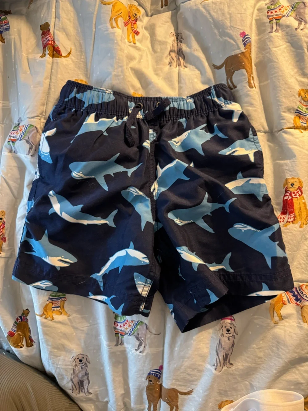 Hanna Andersson swim trunks size 4